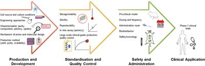 Development of Extracellular Vesicle Therapeutics: Challenges, Considerations, and Opportunities